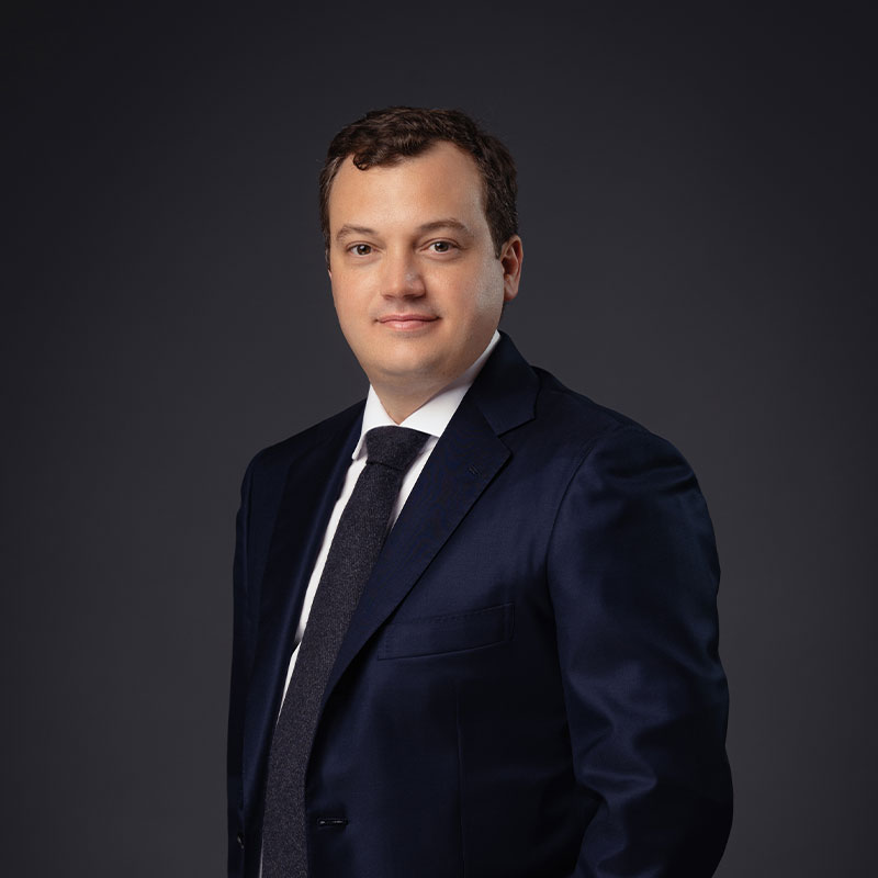 https://www.gscdavvocati.com/wp-content/uploads/2022/11/gscd-avvocati-guerini.jpg
